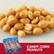 Planters Planters Salted Peanut 1.75 oz. Tube, PK48 10029000077086 - alternate 3